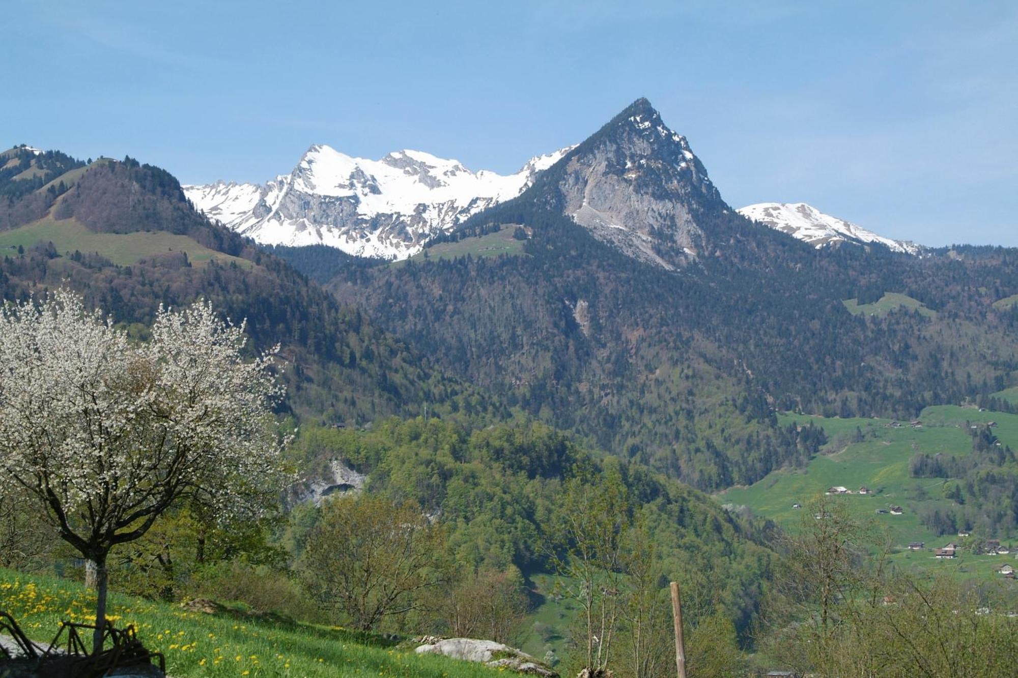 Landgasthof Grossteil Giswil エクステリア 写真
