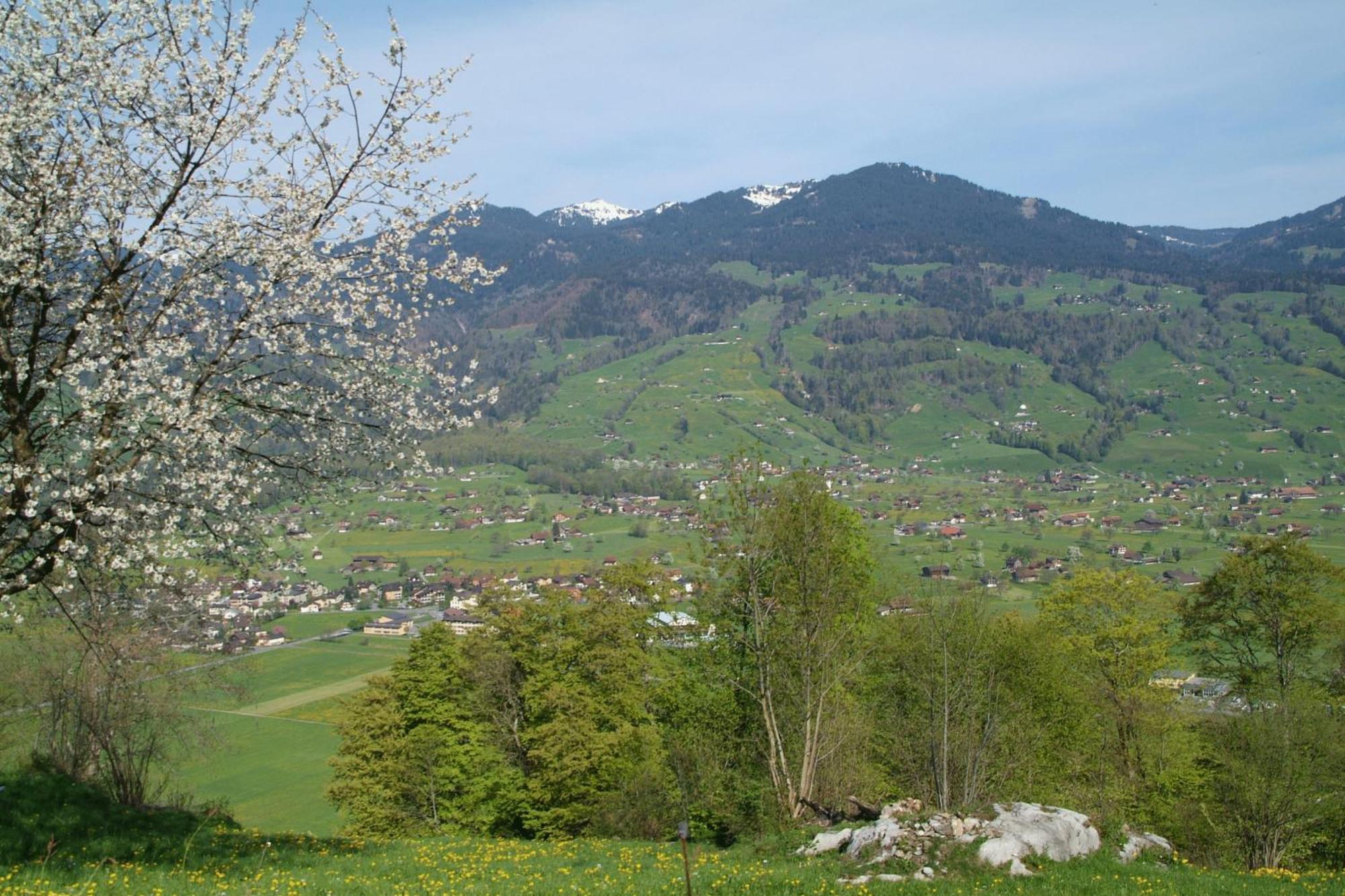 Landgasthof Grossteil Giswil エクステリア 写真