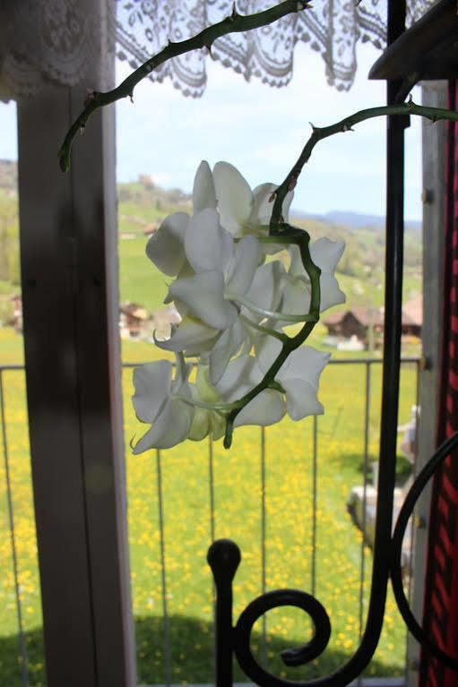 Landgasthof Grossteil Giswil エクステリア 写真